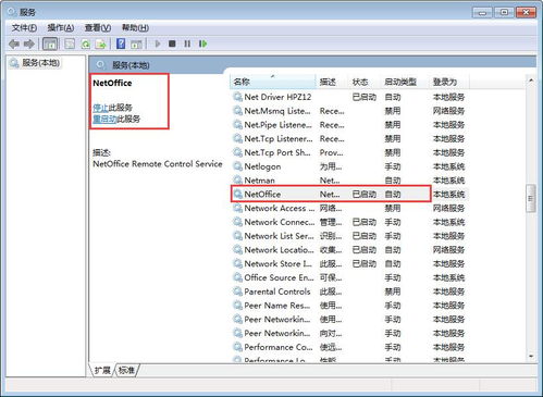 如何判断网络人远程控制软件是否以服务运行